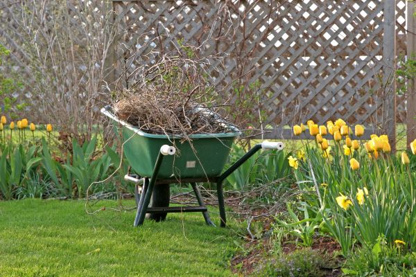 Flower Bed Cleanup Service in Littleton