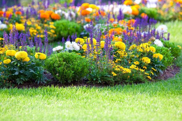 Flower Bed Maintenance in Littleton