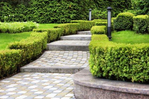 Backyard Remodeling in Littleton