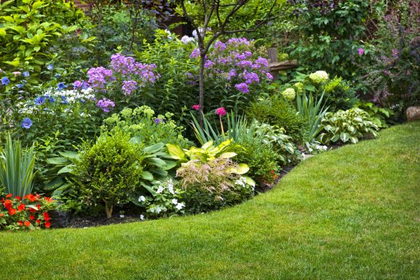 Flower Bed Service in Littleton