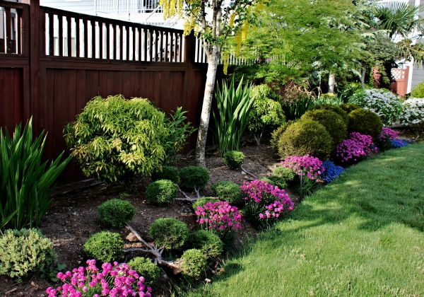 Garden Care Service in Littleton