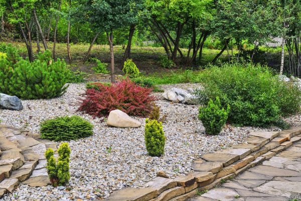 Rock Landscaping in Littleton