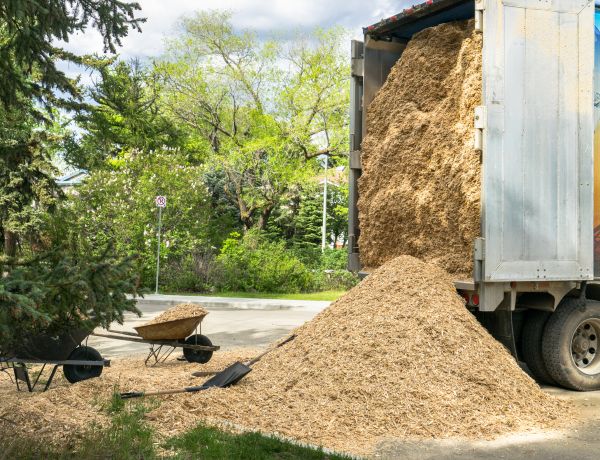 Wood Chips Delivery in Littleton