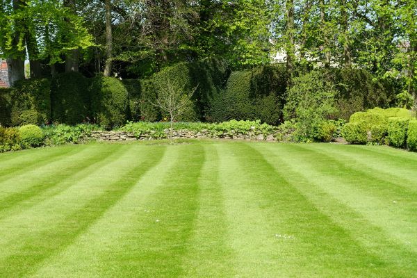 Lawn Renovation in Littleton