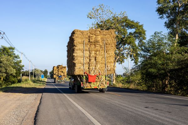 Pine Straw Delivery in Littleton