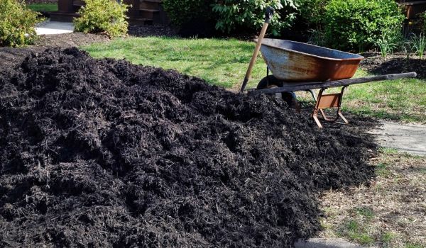 Black Mulch Delivery in Littleton
