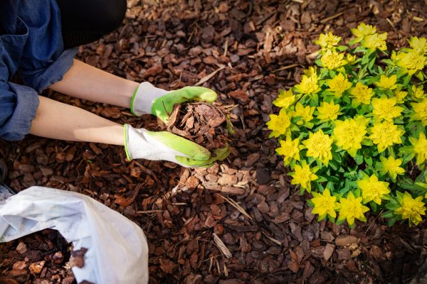 Garden Mulching in Littleton