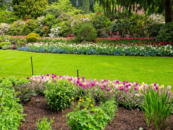 Residential Landscape Design in Littleton