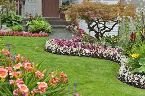 Perennial Landscaping in Littleton