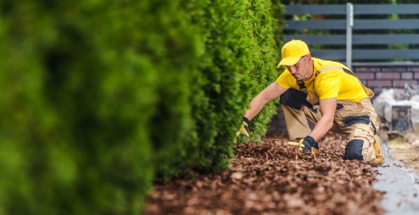 Cypress Mulch Installation in Littleton