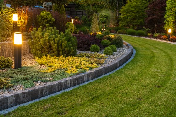 Garden Repair Service in Littleton