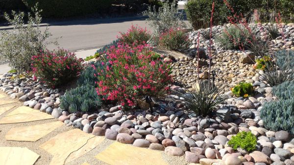 Xeriscape Landscaping in Littleton