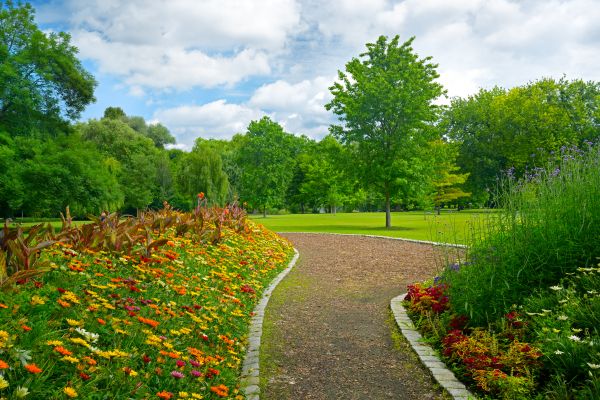 Park Landscaping in Littleton