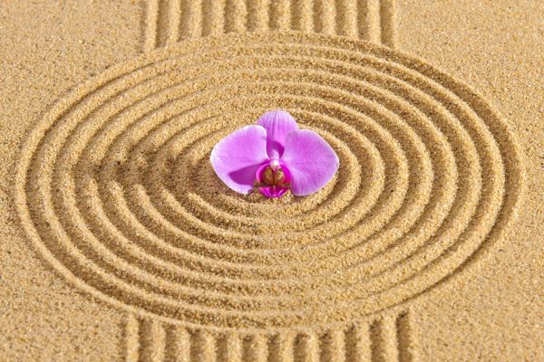 Sand Garden Landscaping in Littleton