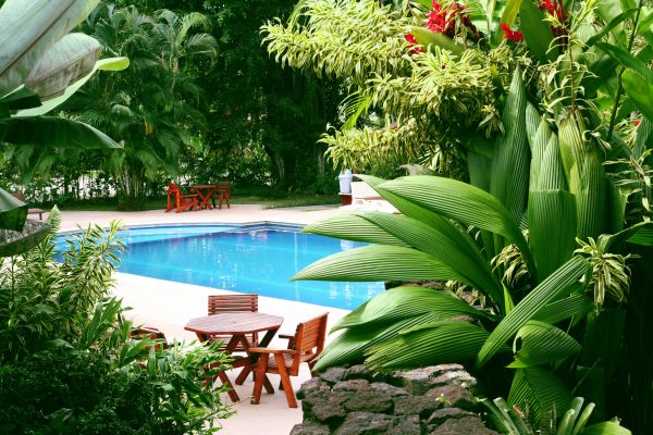 Pool Area Landscaping in Littleton