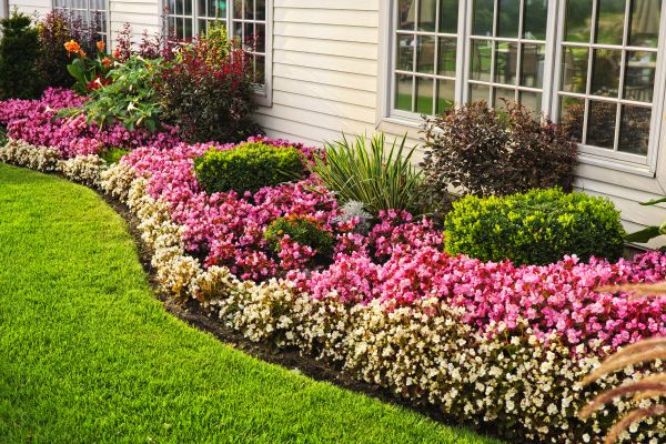 House Landscaping in Littleton