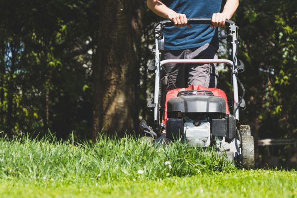 Garden Trimming Service in Littleton