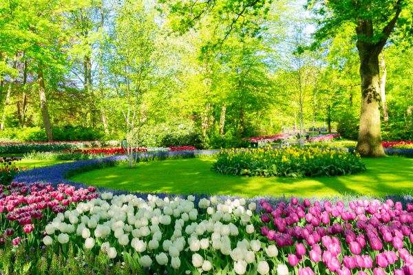 Flower Landscaping in Littleton