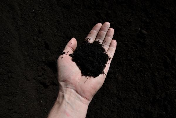 Dark Soil Delivery