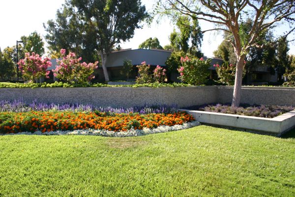 Commercial Landscape Service in Littleton