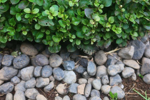 River Stone Installation in Littleton