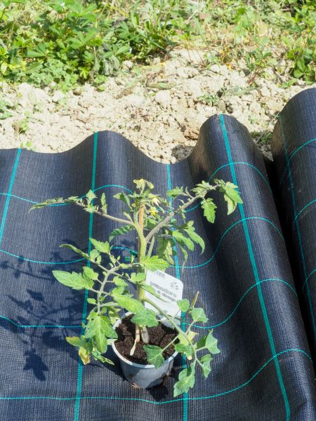 Weed Suppression Installation