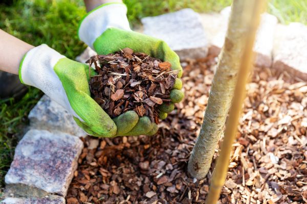 Tree Bark Delivery in Littleton
