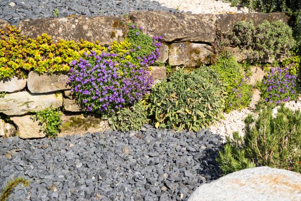 Landscaping Rocks Installation in Littleton