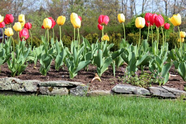 Rock Edging Installation