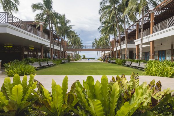 Commercial Lawn Renovation in Littleton