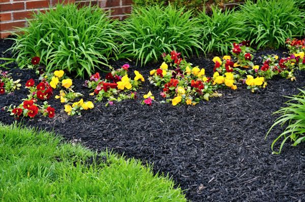 Apartment Mulching
