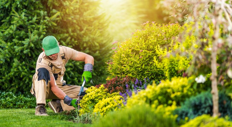 Monthly Garden Maintenance