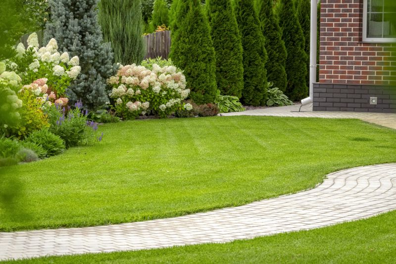 Residential Landscaping Experts